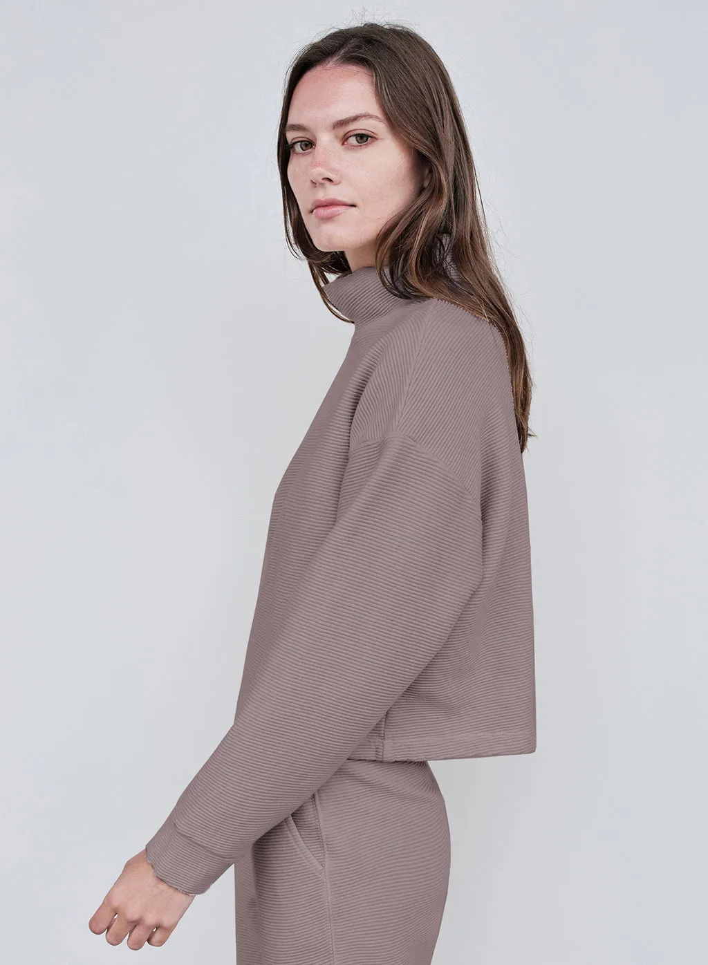 Horizontal Rib Mock Neck Pullover in Walnut